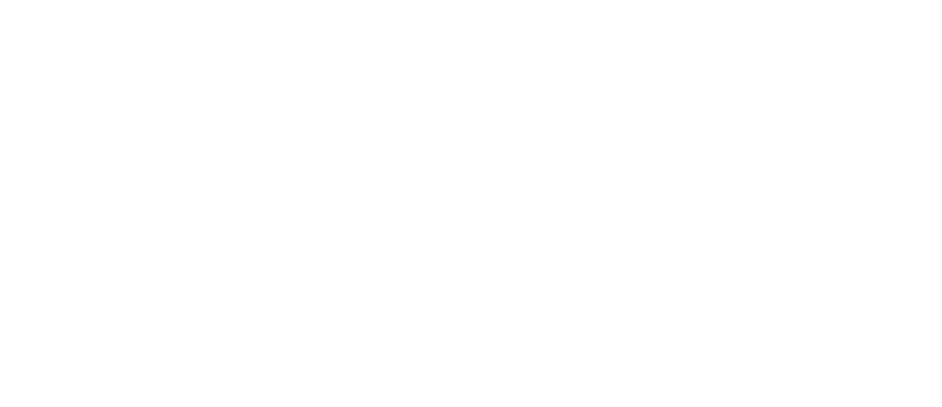 EXE X